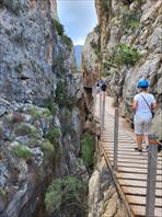 Fotografie číslo 2136